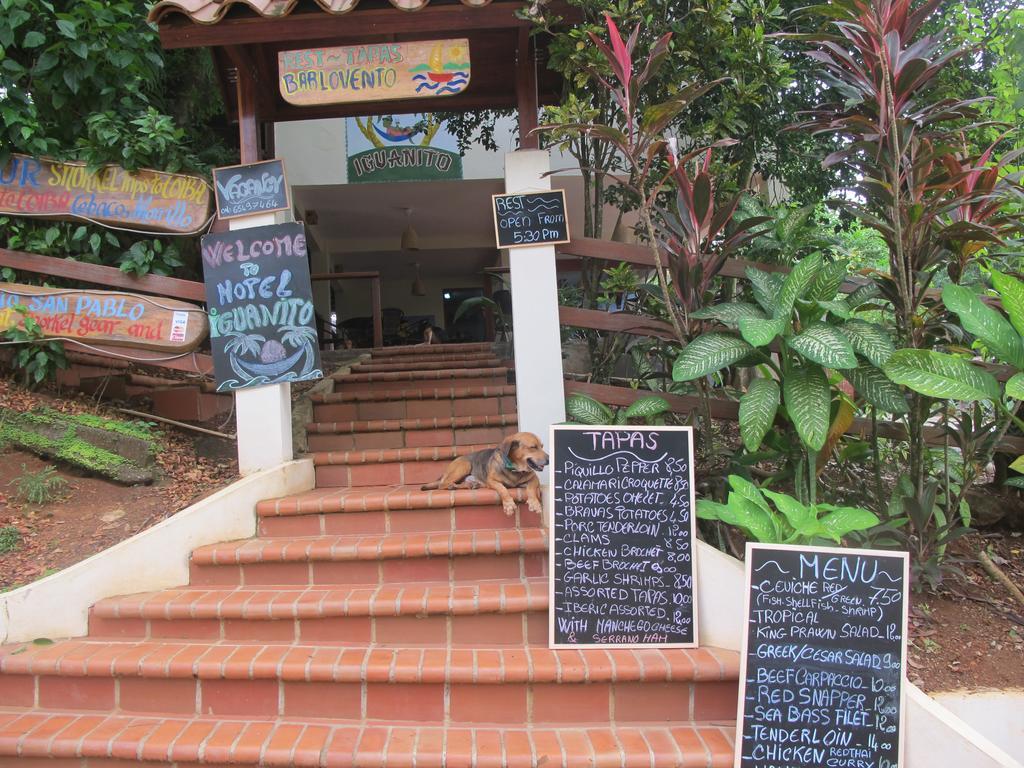 Hotel Iguanito 산타 카탈리나 외부 사진